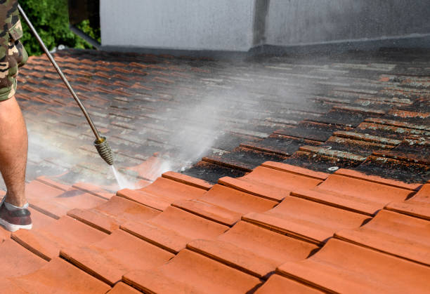 Best Deck Cleaning Services  in Ledbetter, KY
