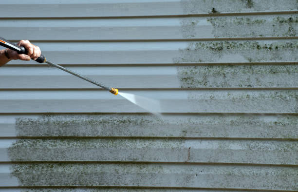 Best Roof Power Washing Services  in Ledbetter, KY