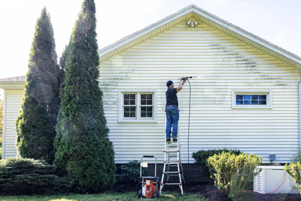 Best Pressure Washing Siding  in Ledbetter, KY